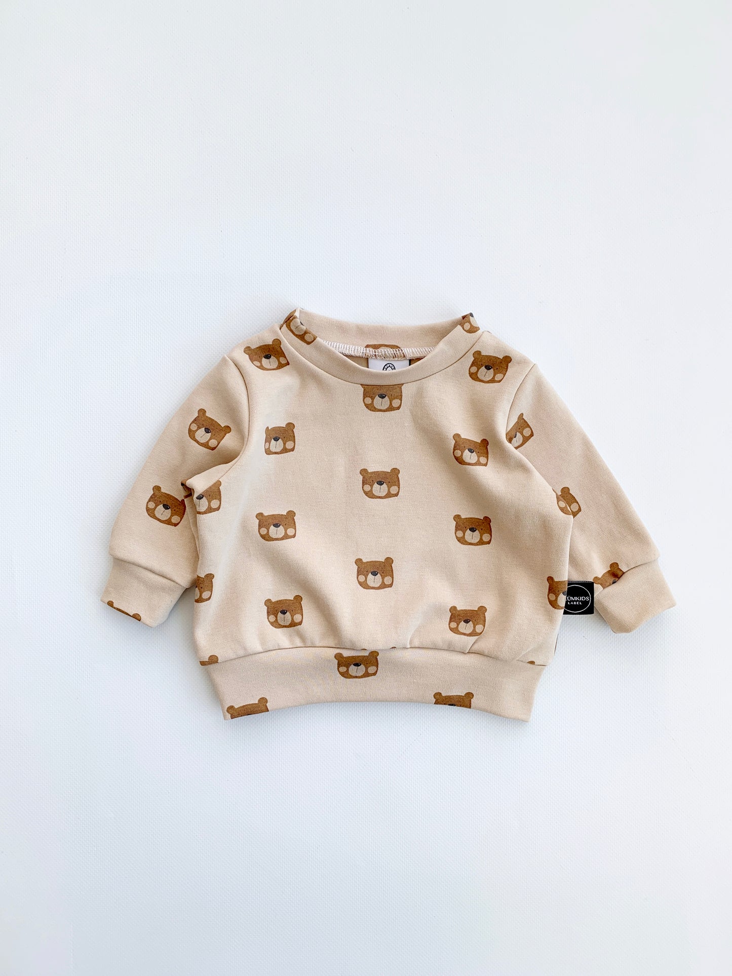 little bear pulli