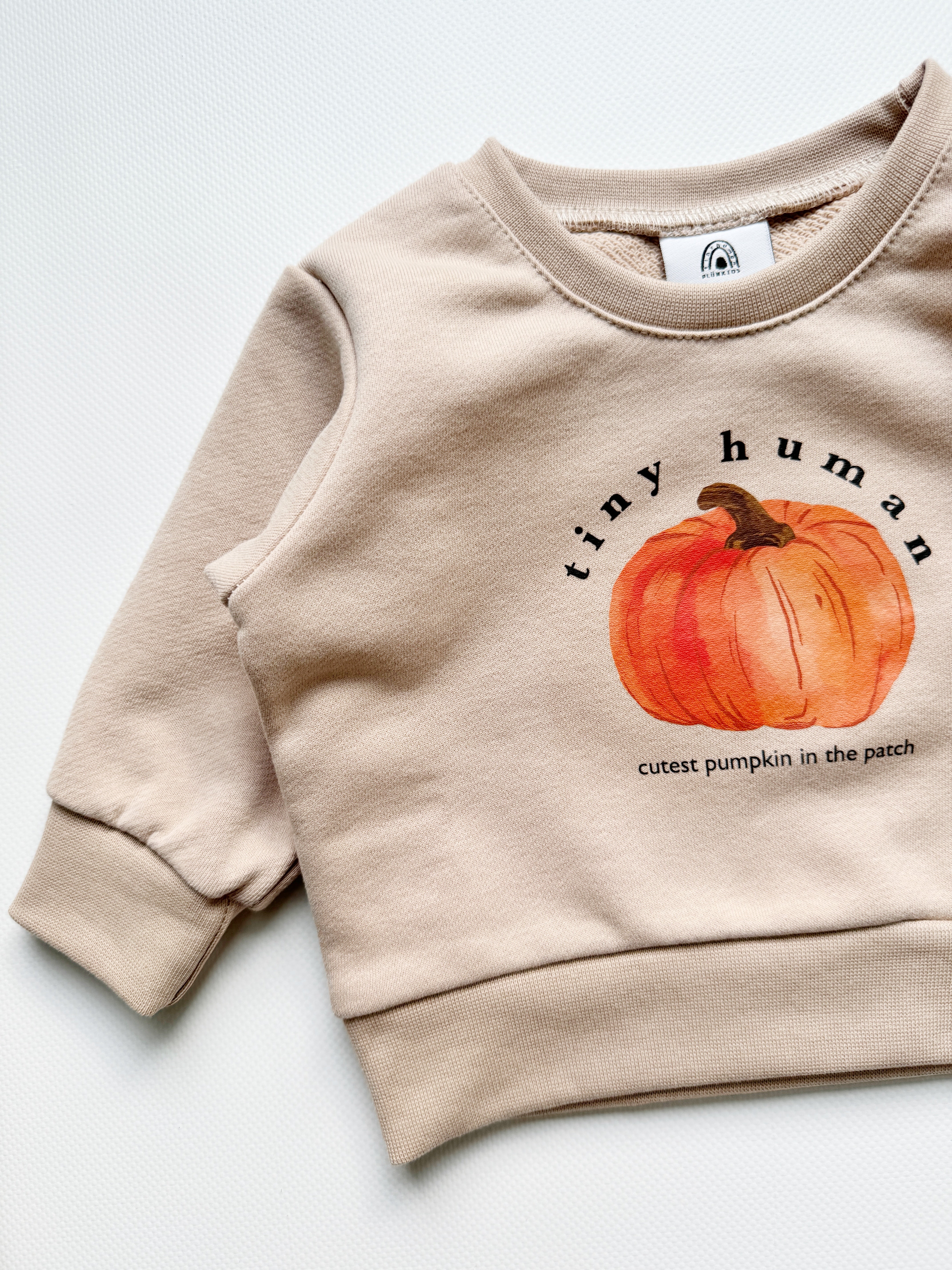 cutest pumpkin top