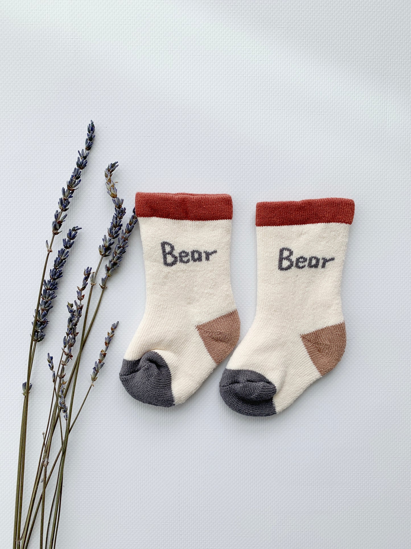 socks | bear word