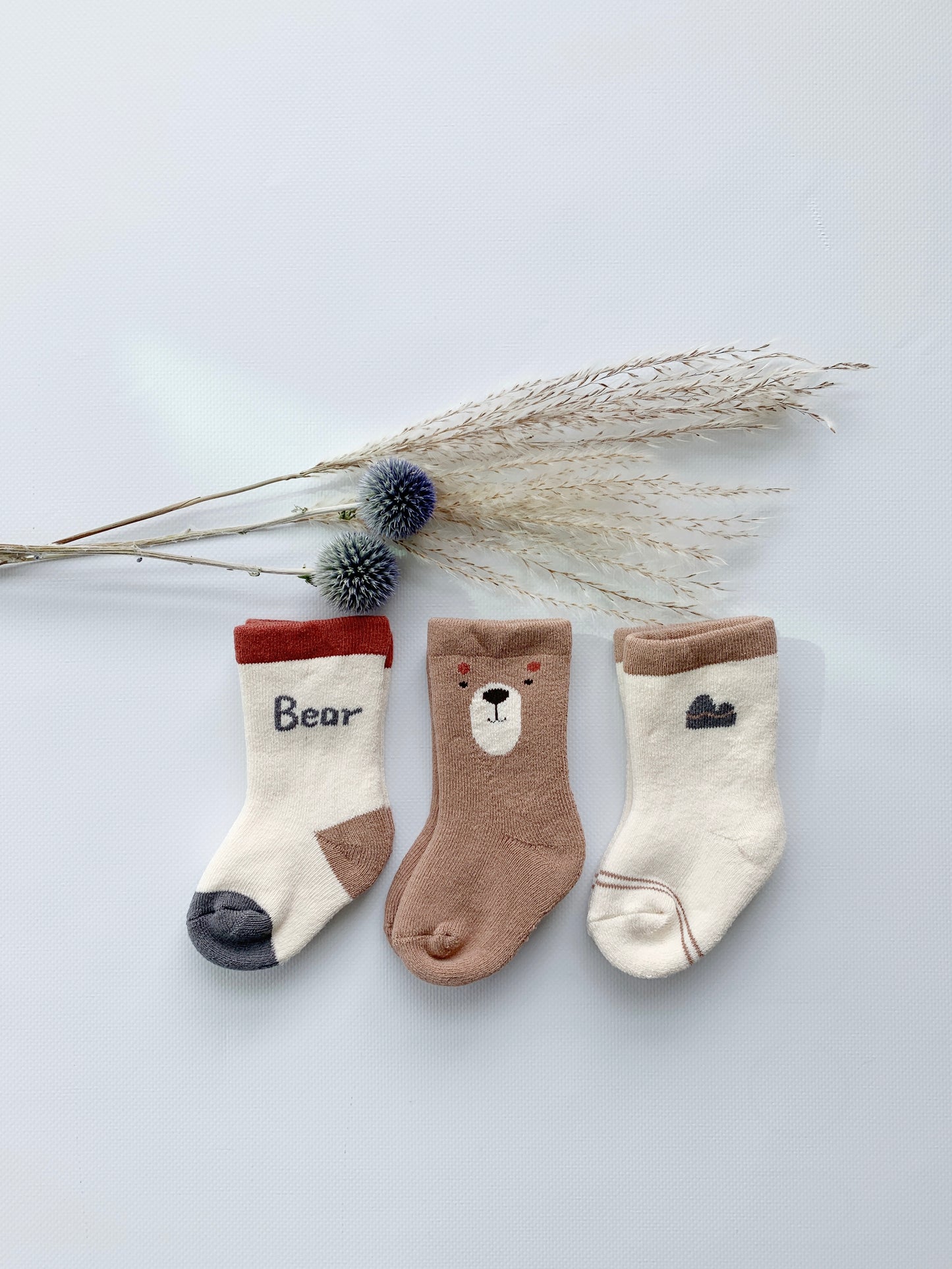 socks | bear word