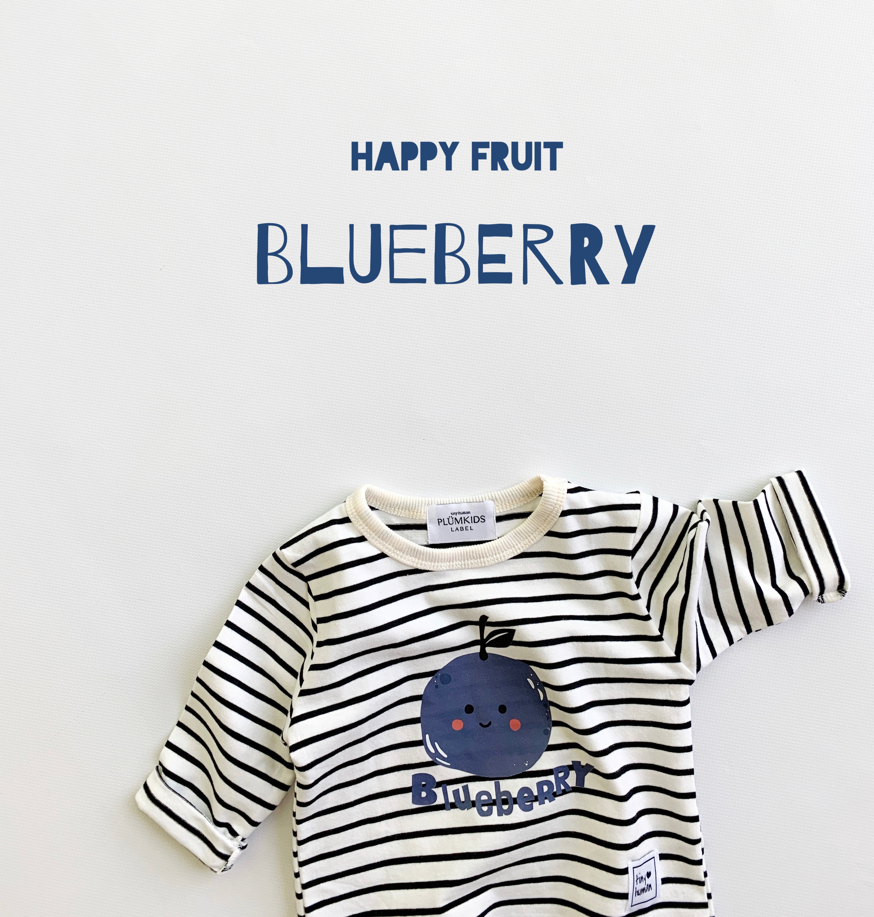 HAPPY FRUIT | blueberry