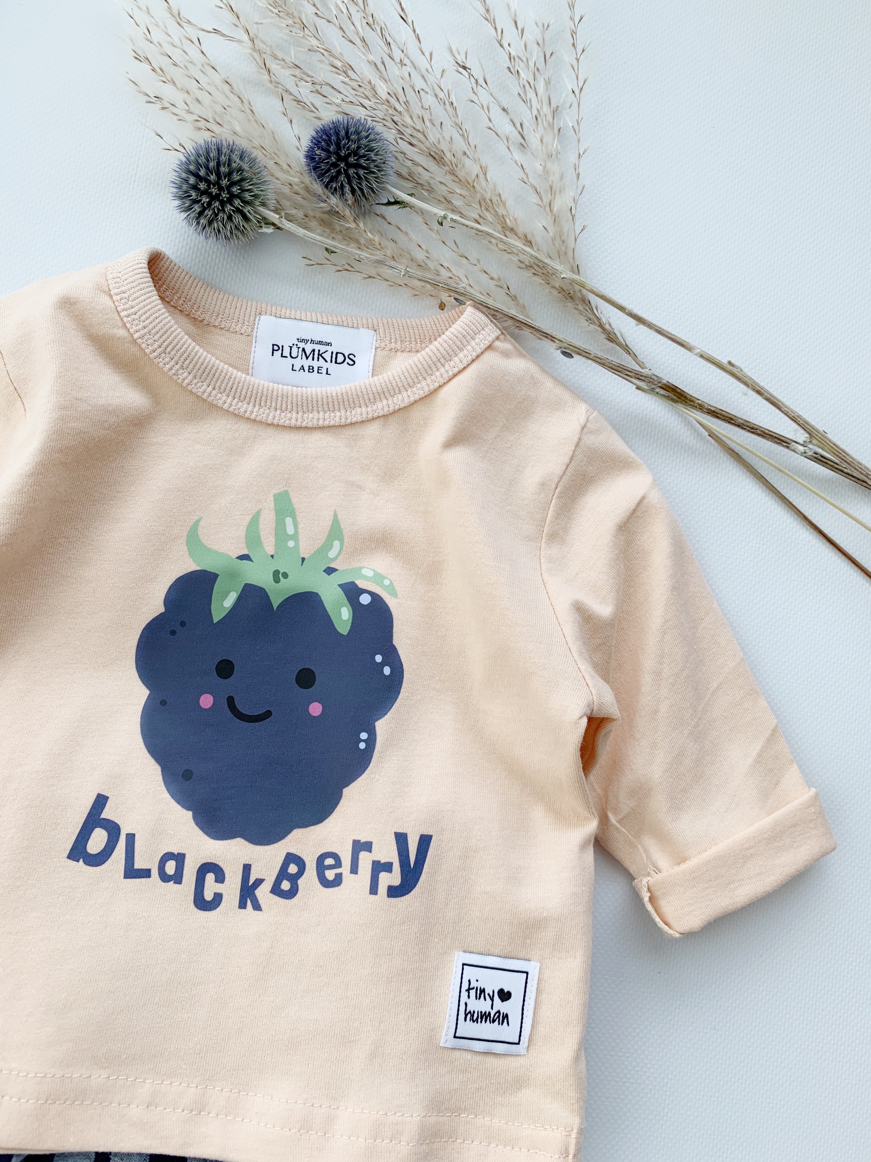 HAPPY FRUIT | blackberry
